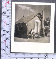 Old man tiny for sale  Weatherly