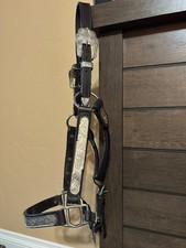Western show halter for sale  Springfield