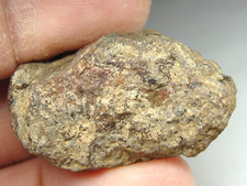 Meteorite 7686 19.50g for sale  Hebron