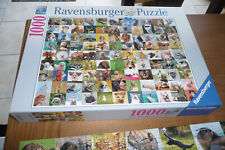 Puzzle 1000 pièces d'occasion  Criquetot-l'Esneval