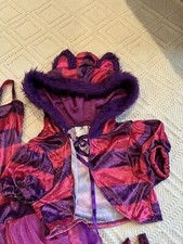 Cheshire cat halloween for sale  Grand Haven