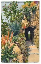Cartão postal M55 The Exotic Gardens Monaco 1926  comprar usado  Enviando para Brazil