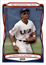 2010 usa baseball for sale  Sioux Falls