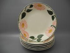 Villeroy boch suppenteller gebraucht kaufen  Hamburg
