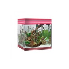Acquario askoll pure usato  Terlizzi