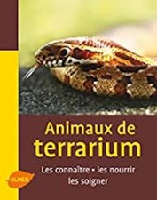 Animaux terrarium falk d'occasion  Corbeil-Essonnes