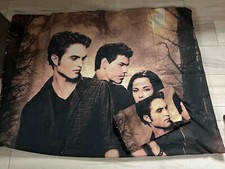 Twilight new moon gebraucht kaufen  Hamburg