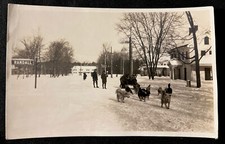 Snow sled dog for sale  Greenville