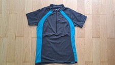 Icebreaker shirt merino gebraucht kaufen  München