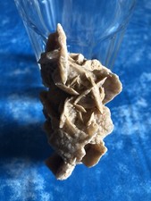 Sandrose wüstenrose geeignet gebraucht kaufen  Güstrow