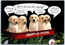 Postcard five puppies for sale  Stevens Point