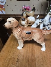 Coopercraft dog golden for sale  Shoemakersville