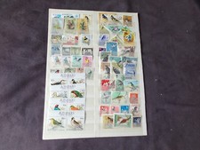 Birds various mint for sale  LEAMINGTON SPA