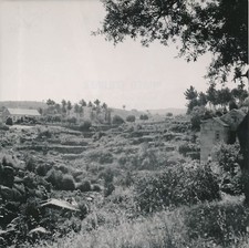 GOUVEIA c. 1950 - Maisons Cultures Portugal - NV 239, usado comprar usado  Enviando para Brazil