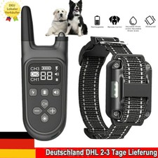 800m ferntrainer erziehungshal gebraucht kaufen  Aspisheim, Grolsheim