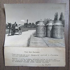 Press photo 1943 d'occasion  Expédié en Belgium