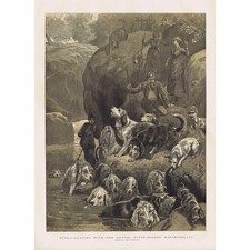 Westmoreland otter hunting for sale  GLASGOW