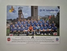 Schalke riginal mannschaftskar gebraucht kaufen  Gelsenkirchen