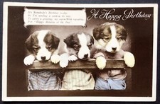 Vintage dog postcard for sale  LOUTH