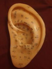 Ear acupuncture model for sale  LONDON