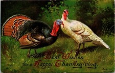 Thanksgiving postcard turkey for sale  Salemburg