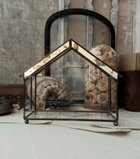 Vintage glass plant for sale  Villa Park