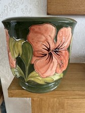 Moorcroft coral hibiscus for sale  SHEFFIELD