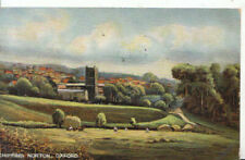 Oxfordshire postcard chipping for sale  WATERLOOVILLE
