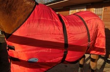 Maximo medium weight for sale  CHESTERFIELD