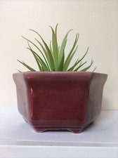 Vtg purple pink for sale  Saint Charles