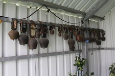 Kuhglocken sammlung alpenschel gebraucht kaufen  Remchingen