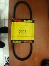 Cinghia trapezoidale pirelli usato  Monte Sant Angelo