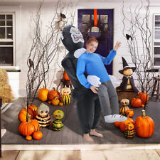 Adults halloween costumes for sale  UK