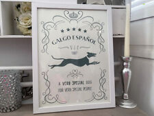 Windhund galgo espanol gebraucht kaufen  Alzey