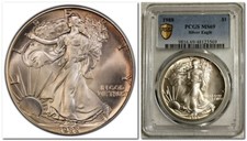 1988 american silver for sale  Findlay