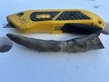 Spinosourus claw fossil for sale  Clearfield
