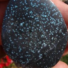 Lander blue authenticated for sale  Battle Mountain