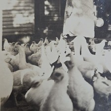 Vintage photo snapshot for sale  Blue Springs