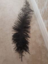 Large black ostrich for sale  ENFIELD