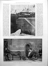 Old print prince for sale Old print prince for sale  UK