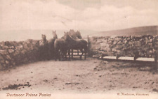 Dartmoor prison ponies for sale  CROWBOROUGH