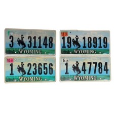 Wyoming plaque immatriculation d'occasion  France