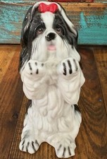 dogs shih tzu for sale dogs shih tzu for sale Mesquite