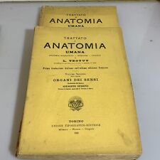 Trattato anatomia umana usato  Morro d'Oro