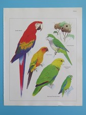 Original 1984 color for sale  Crescent City