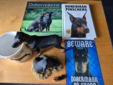 doberman for sale  RIPLEY