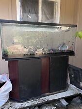 Gallon fish tank for sale  Nice
