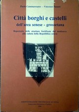 Città borghi castelli usato  Italia