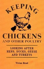 Keeping chickens poultry for sale  UK