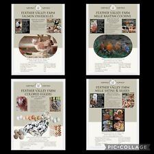 Fertilized chicken eggs for sale  Cocolalla